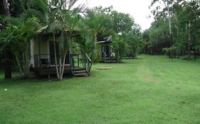 Pandanus On Litchfield